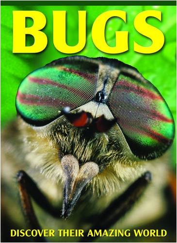 Bugs by Miles Kelly Publishing - Paperback cover