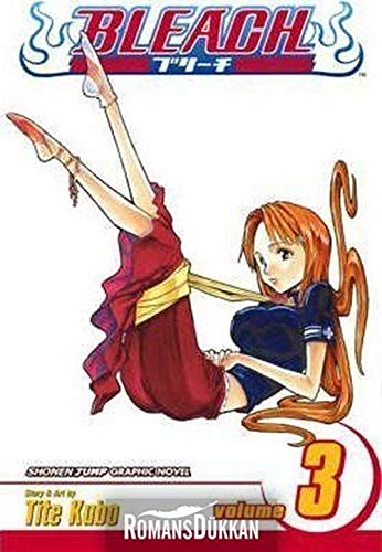 BleachMemories in the Rain by Tite Kubo - Paperback cover