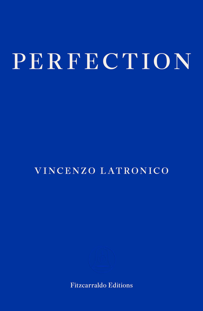 Perfection by Vincenzo Latronico - Paperback cover