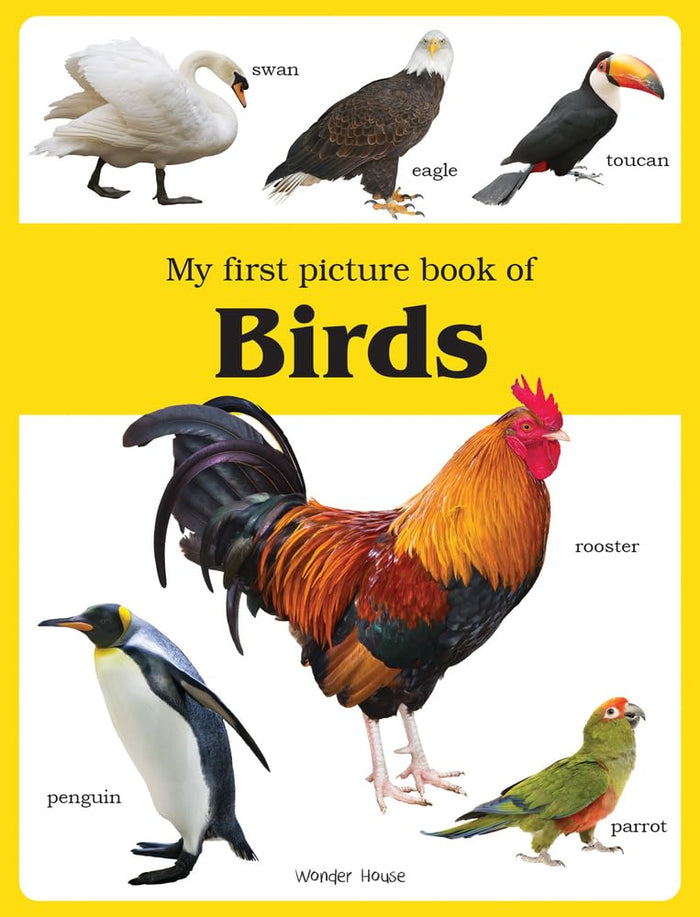 My First Book of Birds by Wonder House Books - Paperback cover