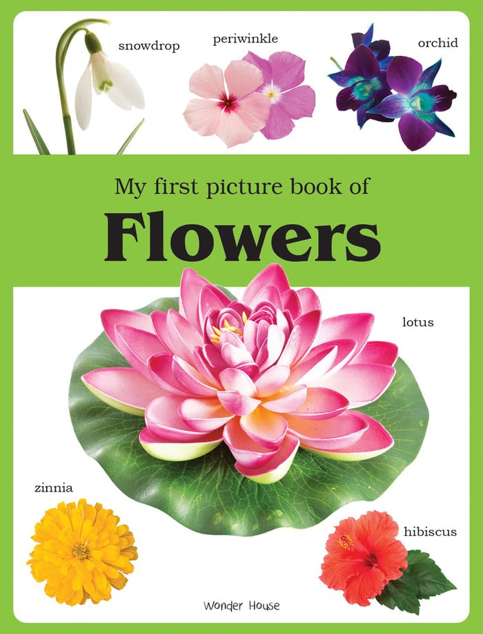 My First Book of Flowers by Wonder House Books - Paperback cover