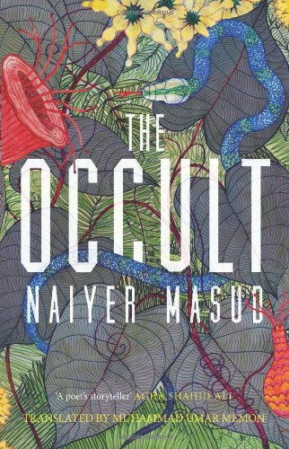 The Occult by Naiyer Masud (Muhammad Umar Menon Tr.) - Hardcover cover