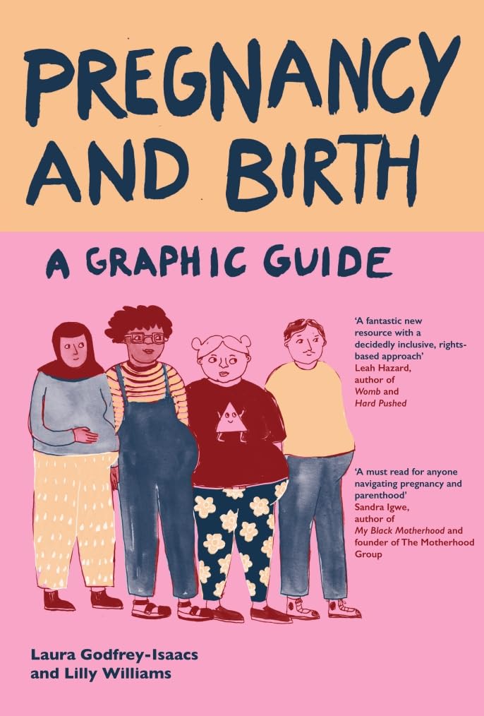 Pregnancy and Birth: A Graphic Guide by Laura Godfrey-Isaacs - Paperback cover