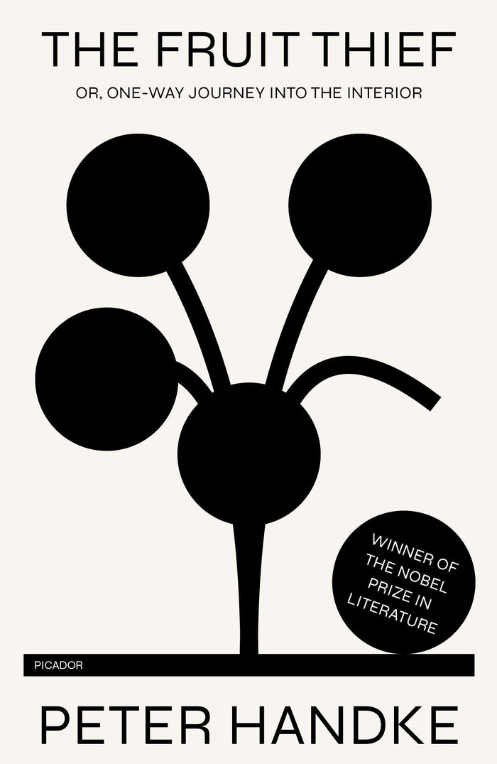 Fruit Thief by Peter Handke - Paperback cover