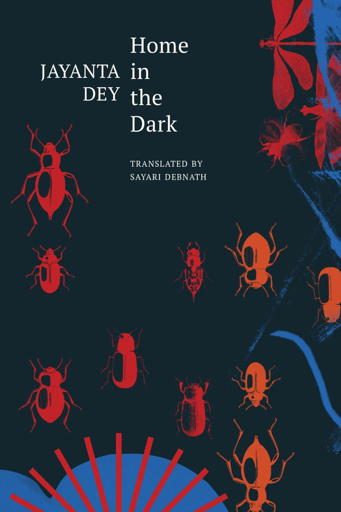 Home in the Dark: Selected Stories (The India List) by Jayanta Dey - Hardcover cover