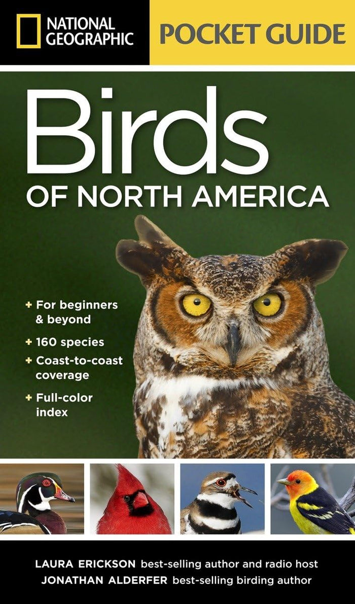 National Geographic Pocket Guide to the Birds of North America by Laura Erickson - Paperback cover