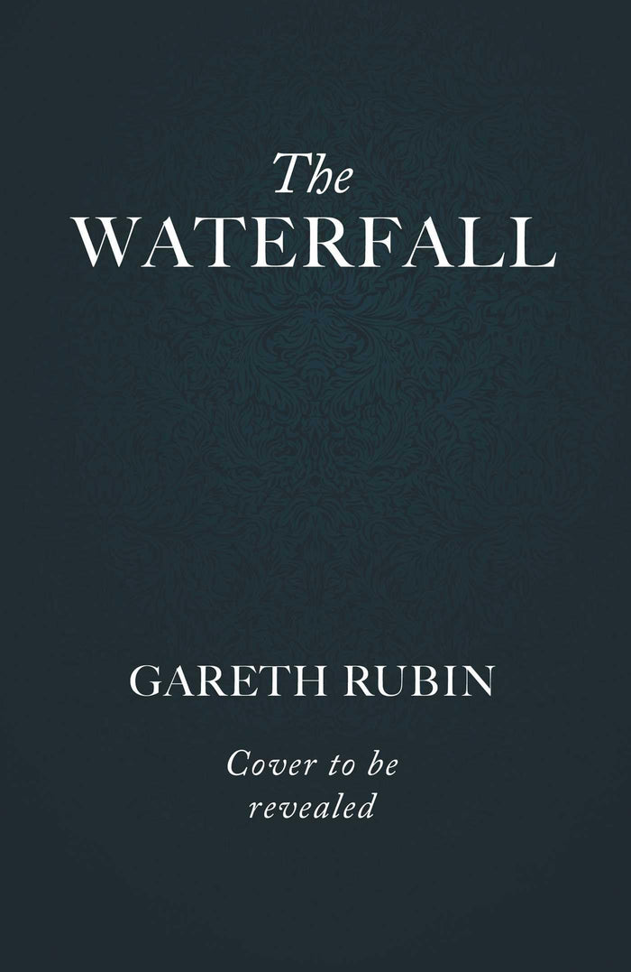 The waterfall by Gareth Rubin - Paperback cover