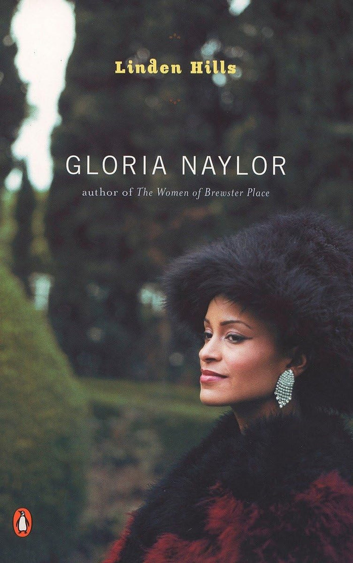 Linden Hills (Contemporary American Fiction Series) by Gloria Naylor - Paperback cover