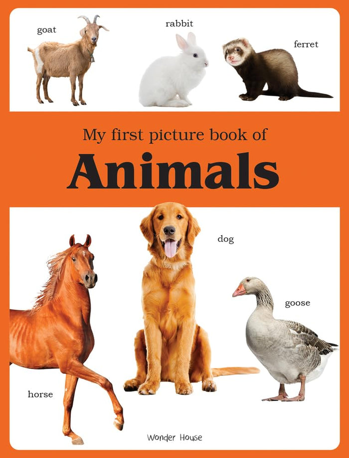 My First Book of Animals by Wonder House Books - Paperback cover
