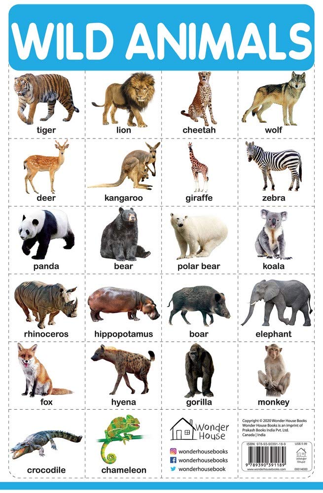Wild Animals - My First Early Learning Wall Chart: For Preschool, Kindergarten, Nursery And Homeschooling (19 Inches X 29 Inches) by Wonder House Books - Wall Chart cover