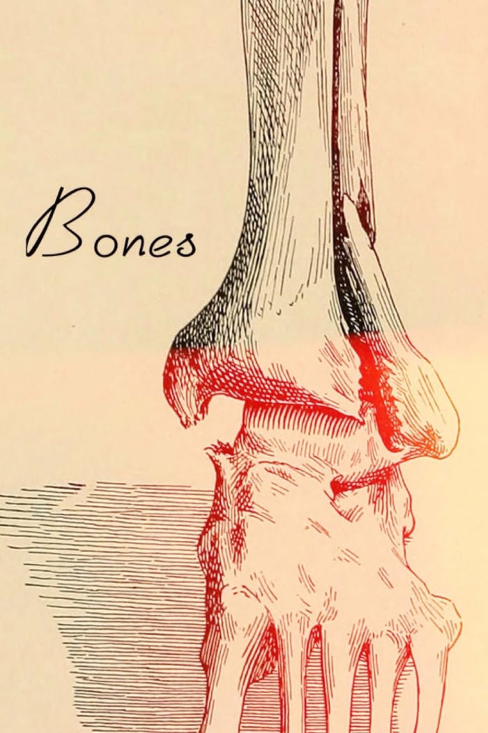 Bones by Sheila Malakouti - Paperback cover