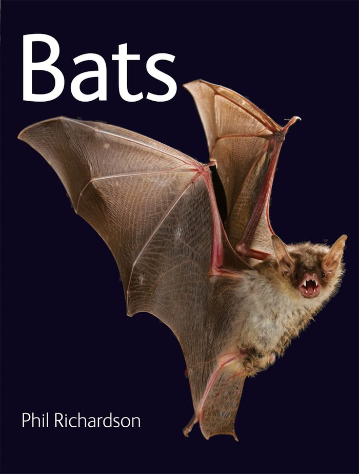 Bats by Phil Richardson - Paperback cover