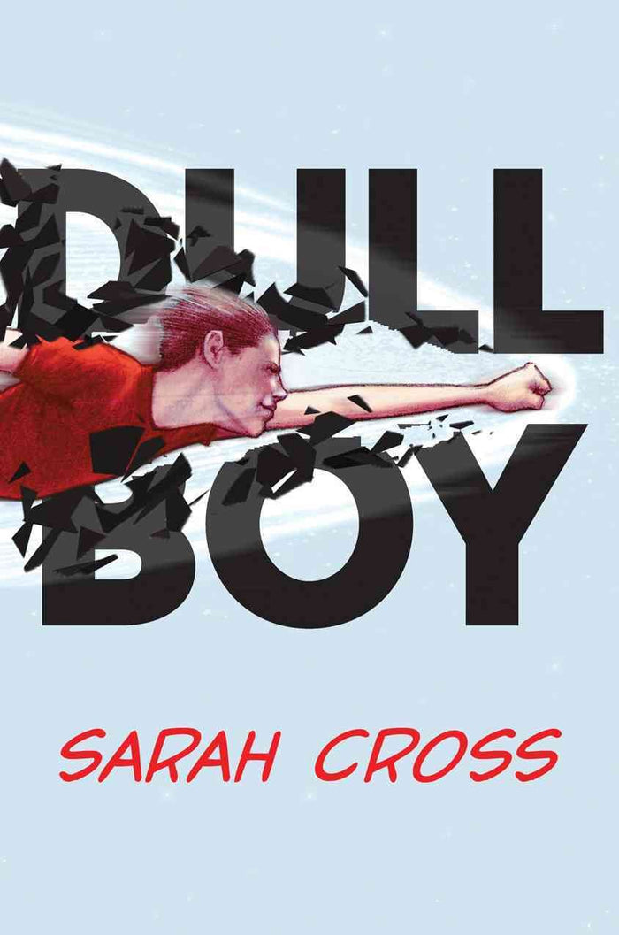 Dull Boy by Sarah Cross - Hardcover cover