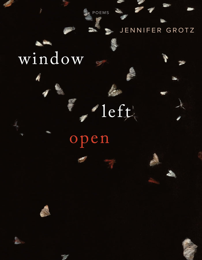 Window Left Open: Poems by Jennifer Grotz - Paperback cover