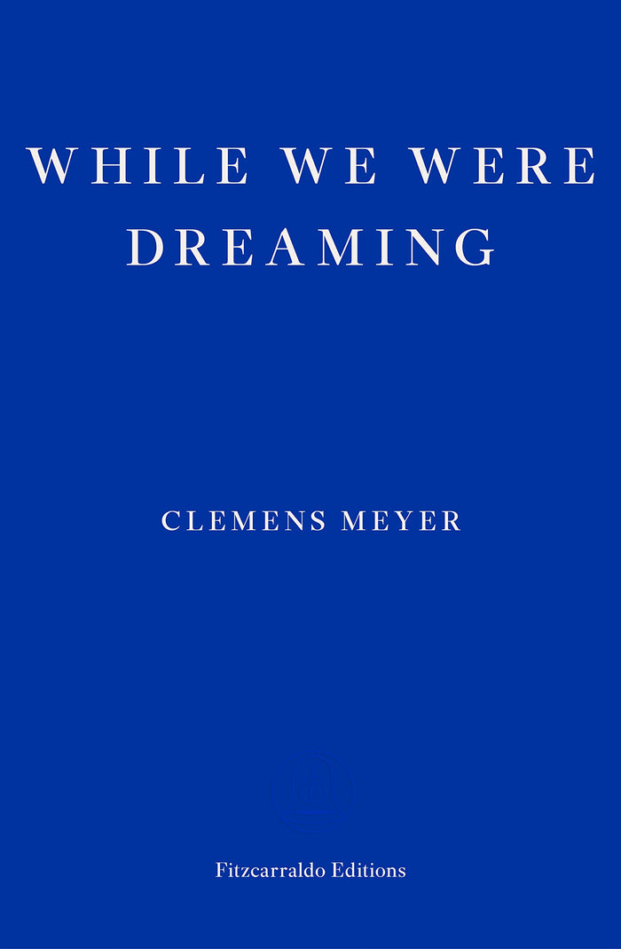 While We Were Dreaming by Clemens Meyer - Paperback cover