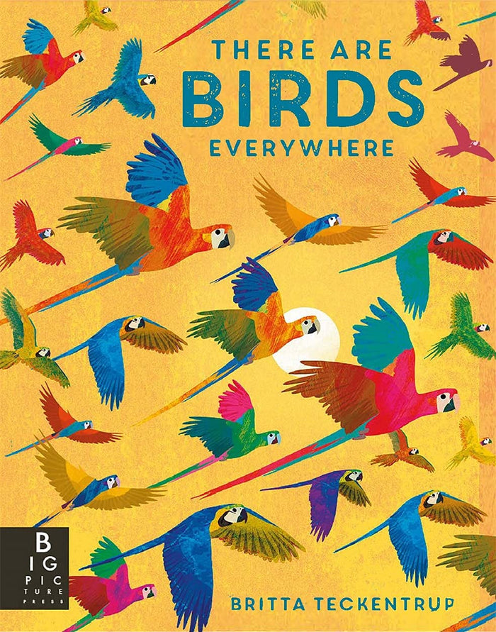 There are Birds Everywhere by Camilla De La Bedoyere - Hardcover cover