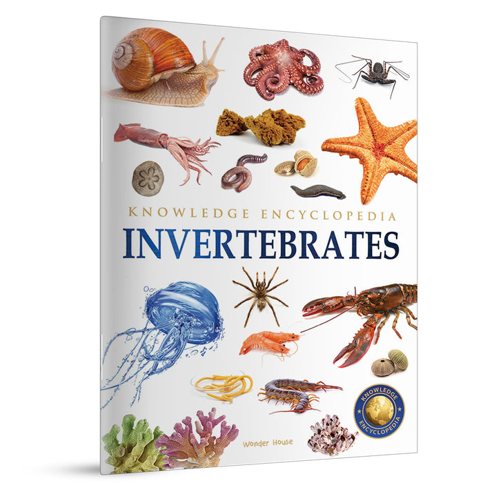 Animals - Invertebrates : Knowledge Encyclopedia For Children by Wonder House Books - Paperback cover