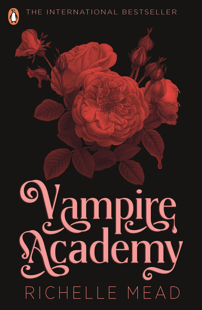 Vampire Academy by Richelle Mead - Paperback cover