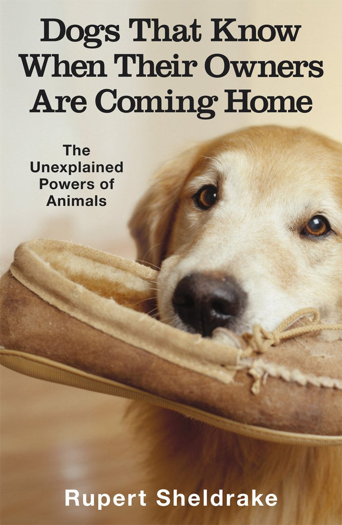 Dogs That Know When Their Owners Are Coming Home by Rupert Sheldrake - Paperback cover
