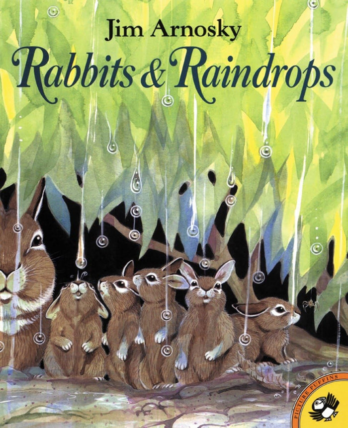 Rabbits and Raindrops (Picture Puffin Books) by Jim Arnosky - Paperback cover