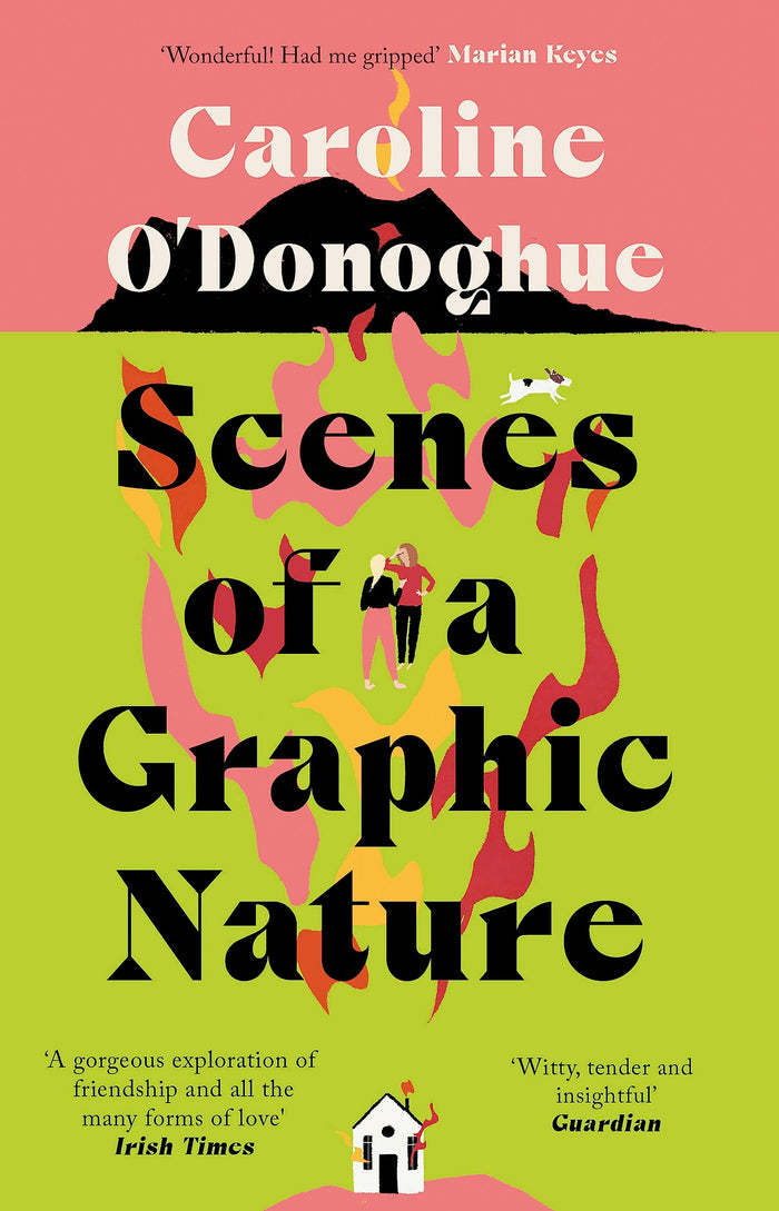 Scenes of a Graphic Nature by Caroline O'Donoghue - Paperback cover