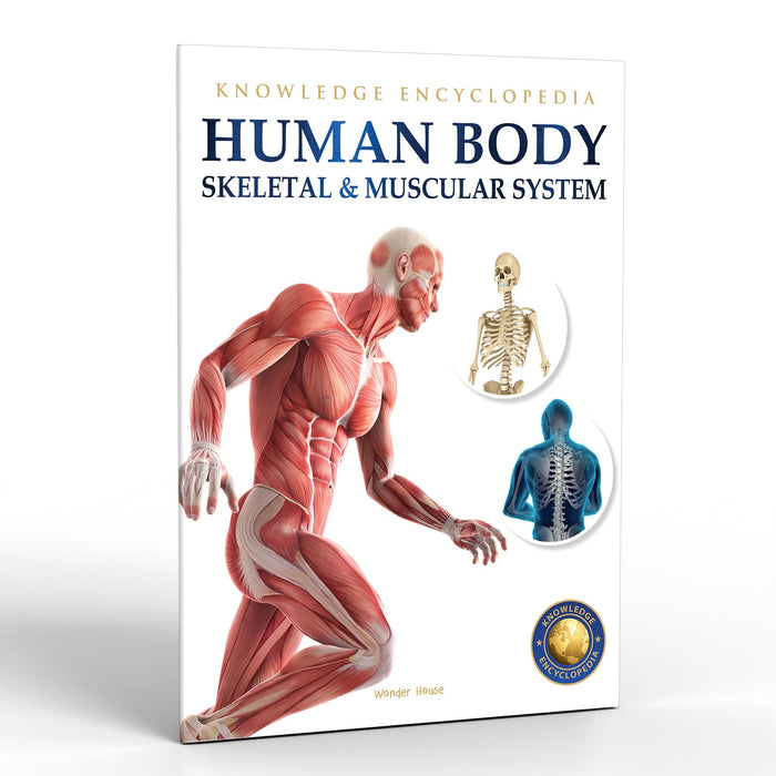Human Body - Skeletal And Muscular System: Knowledge Encyclopedia For Children by Wonder House Books - Paperback cover