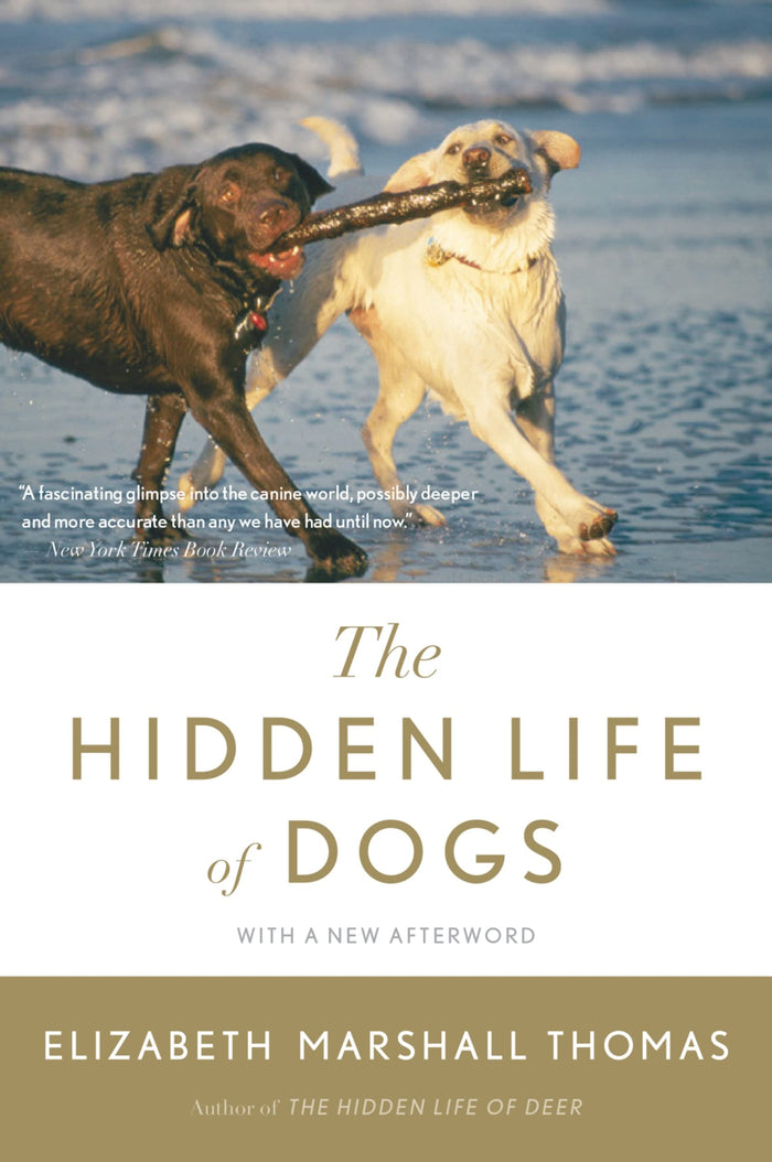 The Hidden Life of Dogs by Elizabeth Marshall Thomas - Paperback cover