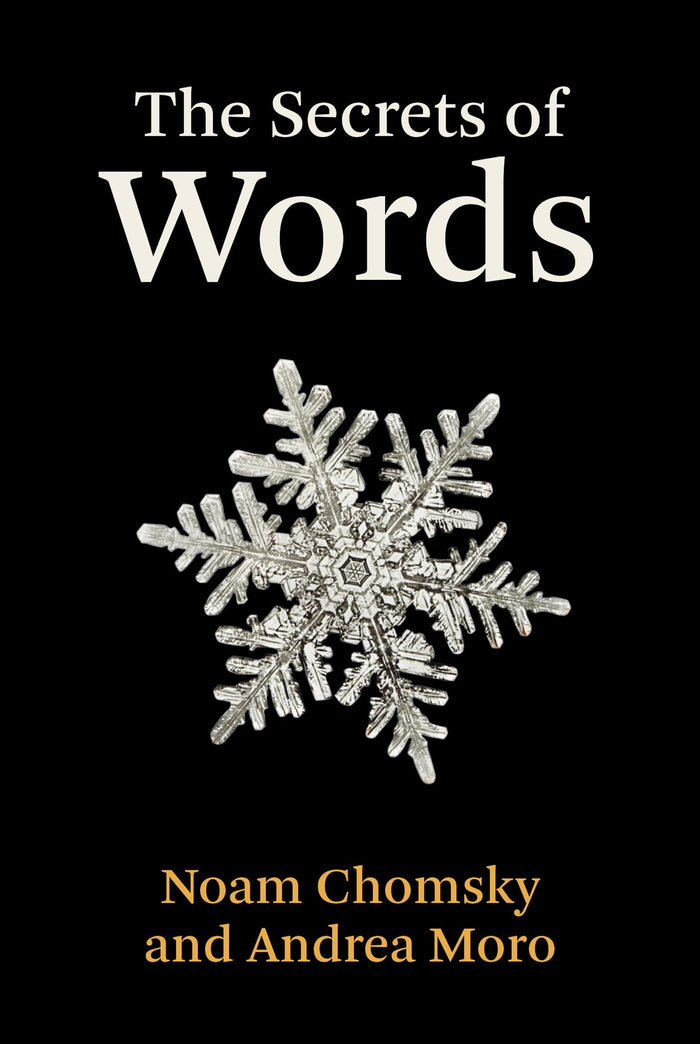 The Secrets of Words by Noam Chomsky - Hardcover cover