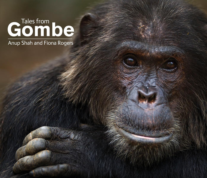 Tales From Gombe by Anup Shah - Hardcover cover
