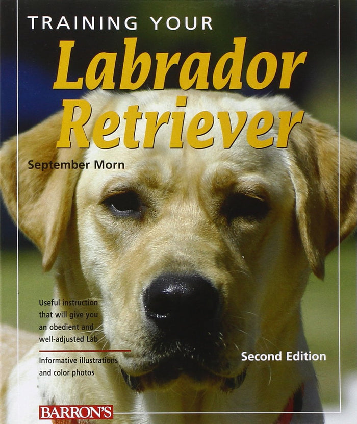 Training Your Labrador Retriever: Veterinarian-Approved Training Book for Yellow, Chocolate, and Black Labrador Retriever Puppies and Older Dogs (Training Your Dog Series) by September Morn - Paperback cover