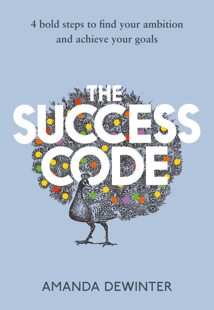 The Success Code by Amanda Dewinter - Paperback cover