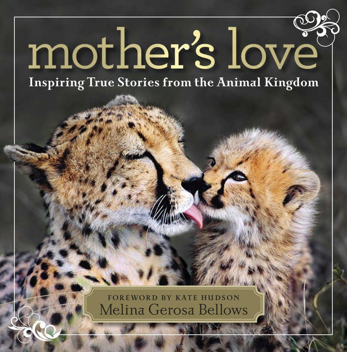 Mother's Love: Inspiring True Stories From the Animal Kingdom by Melina Bellows - Hardcover cover