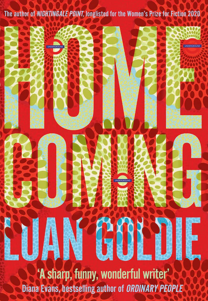 Homecoming by Luan Goldie - Hardcover cover