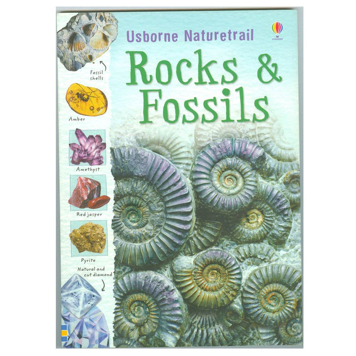 Rocks & Fossils by Struan Reid - Paperback cover