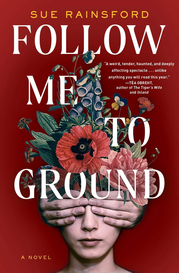 Follow Me to Ground: A Novel by Sue Rainsford - Paperback cover