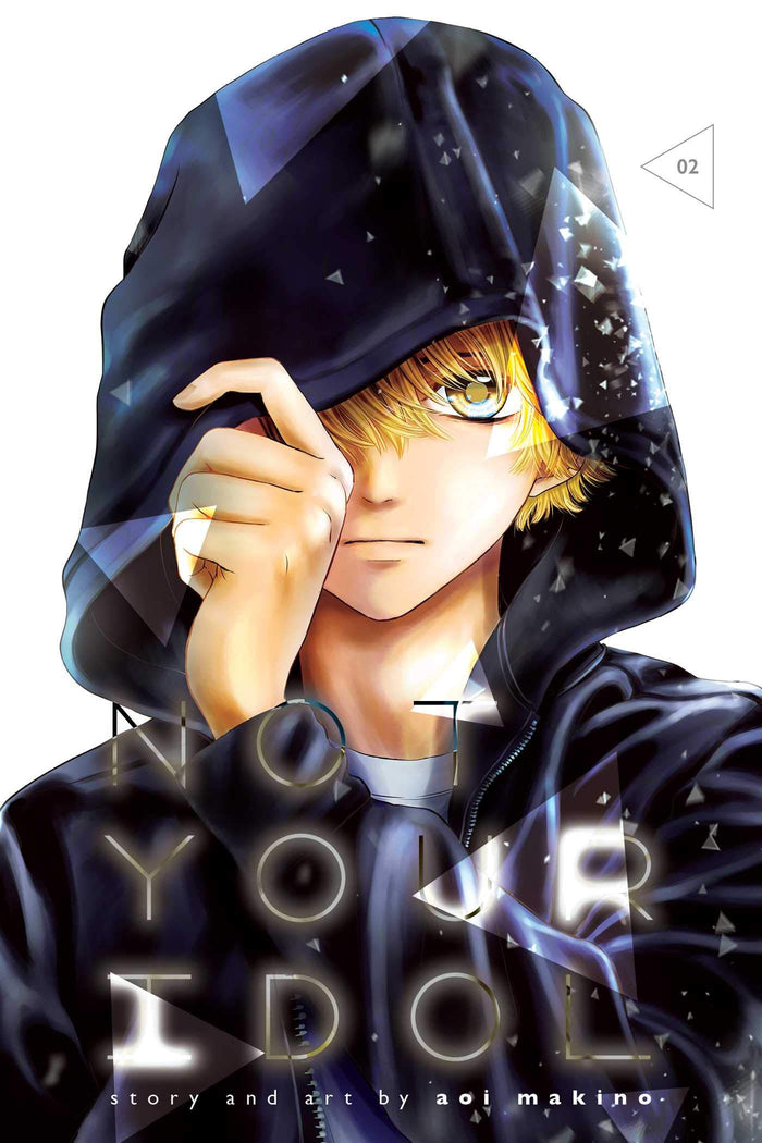 Not Your Idol, Vol. 2 by Aoi Makino - Paperback cover