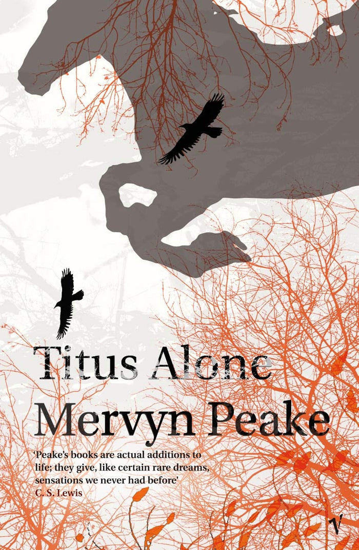 Titus Alone (Gormenghast Trilogy) by Mervyn Peake - Paperback cover