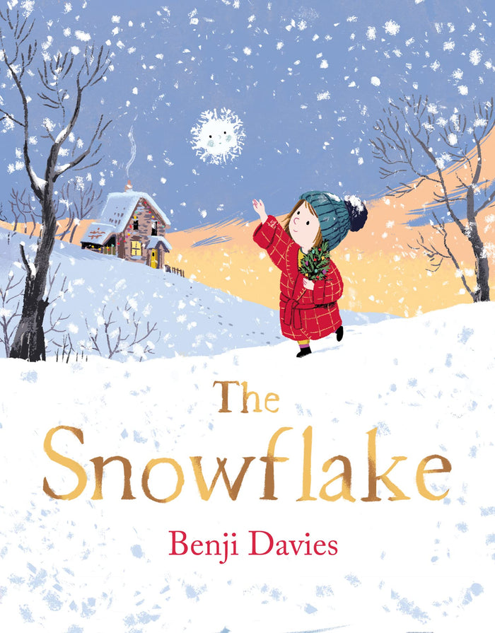 The Snowflake by Benji Davies - Paperback cover