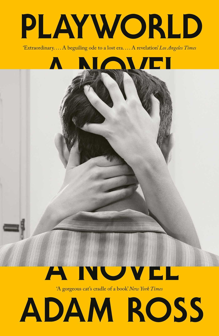 Playworld by Adam Ross - Paperback cover