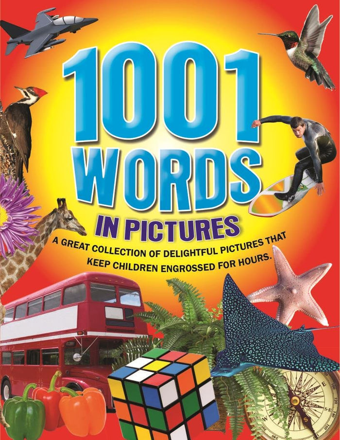 1001 Words In Picture by BPI - Paperback cover