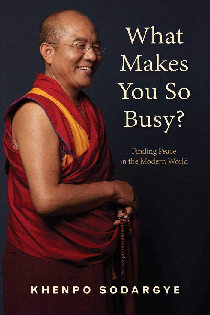 What Makes You So Busy?: Finding Peace in the Modern World by Khenpo Sodargye - Paperback cover