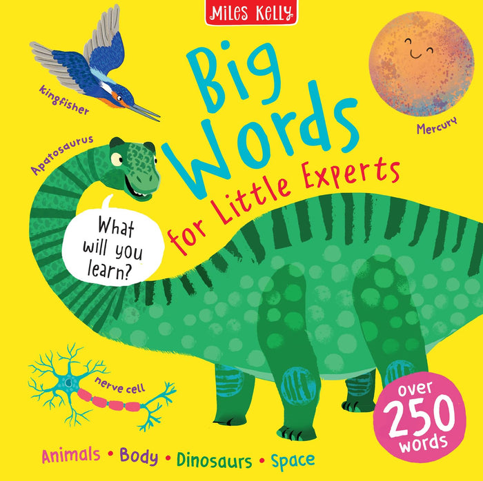 Big Words by Miles Kelly - Hardcover cover