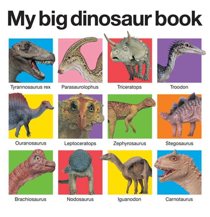 My Big Dinosaur Book (My Big Board Books) by Roger Priddy - Board Book cover