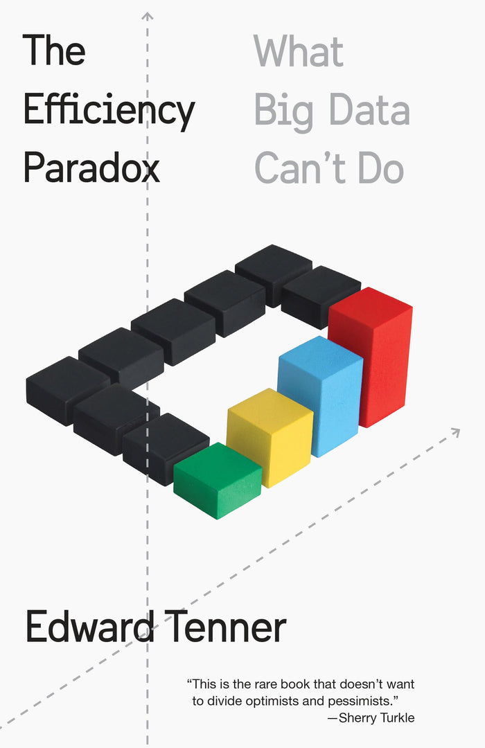 The Efficiency Paradox: What Big Data Can't Do by Edward Tenner - Paperback cover