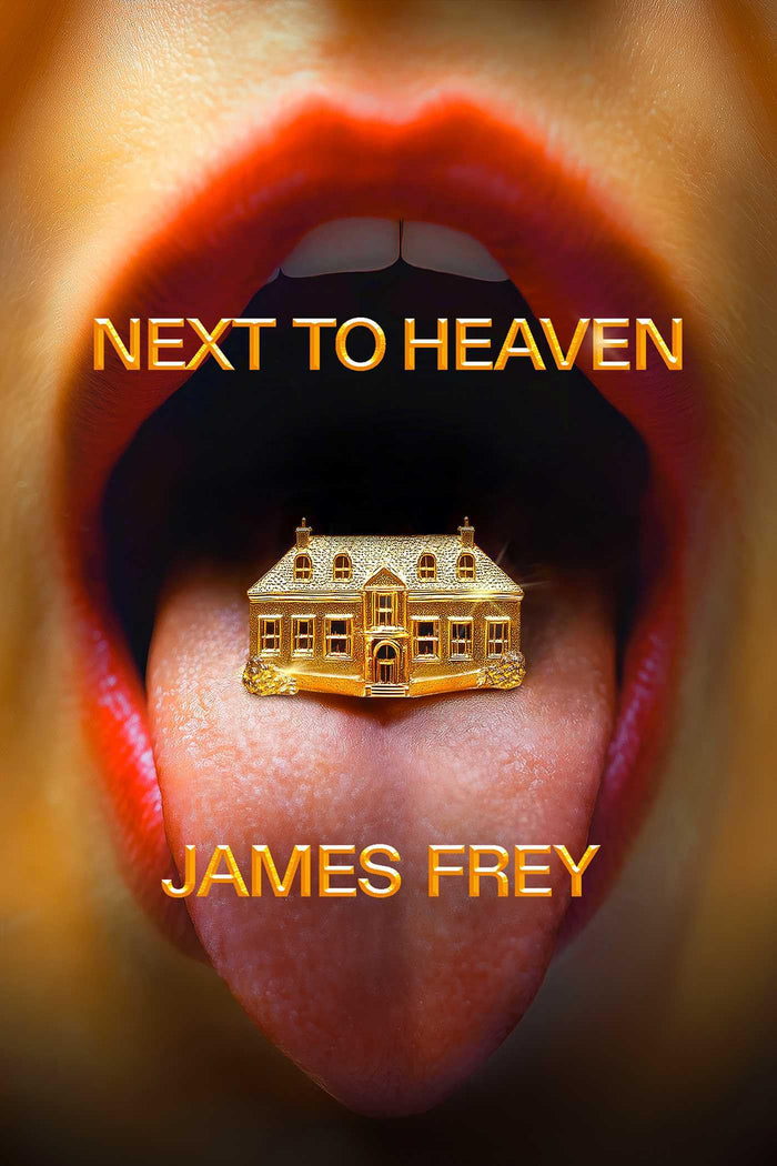 Next To Heaven: A Novel by James Frey - Hardcover cover