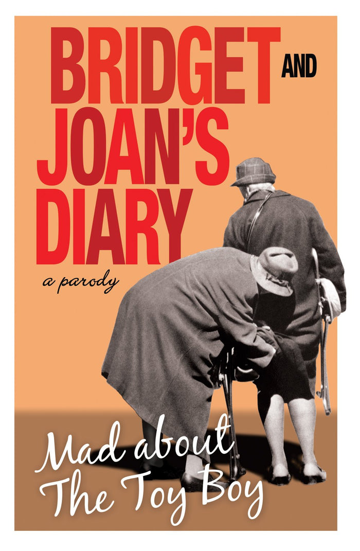 Bridget and Joan's Diary by Bridget Golightly - Hardcover cover