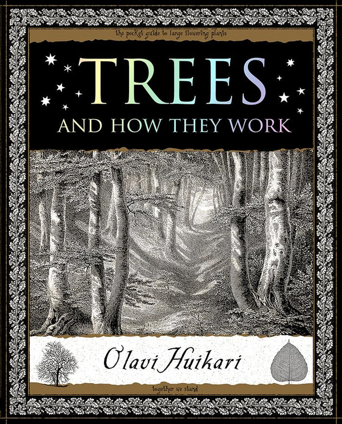 Wooden Books Book 9781907155703. by Olavi Huikari - Paperback cover