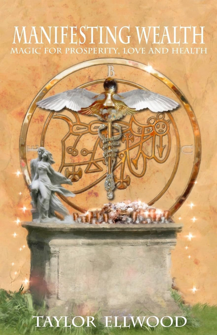 Manifesting Wealth by Taylor Ellwood - Paperback cover