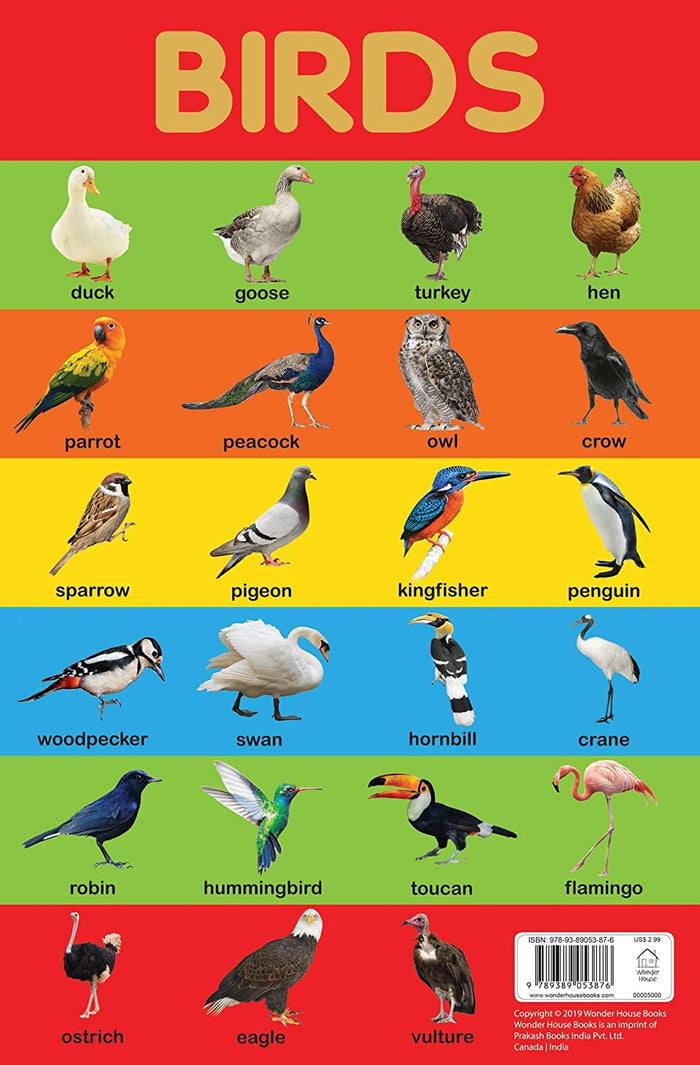 Birds Chart - Early Learning Educational Chart For Kids: Perfect For Homeschooling, Kindergarten and Nursery Students (11.5 Inches X 17.5 Inches) by Wonder House Books - Perfect cover