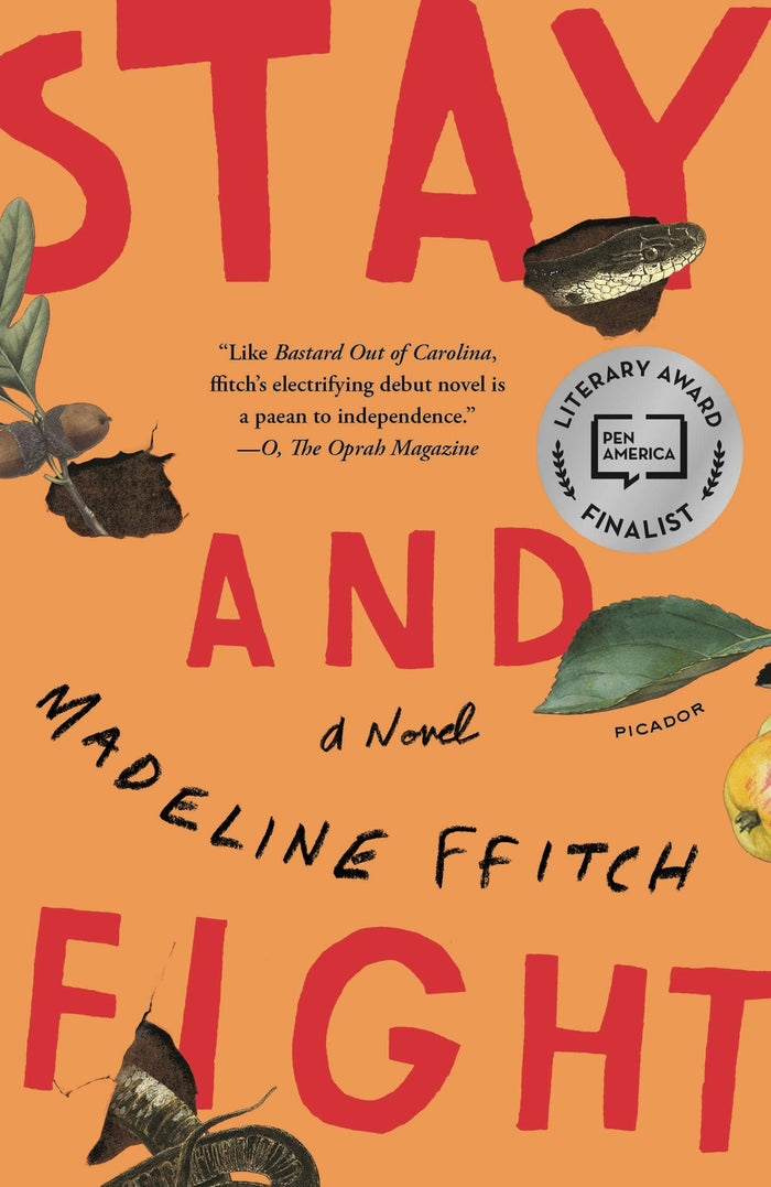 Stay and Fight by Madeline ffitch - Paperback cover